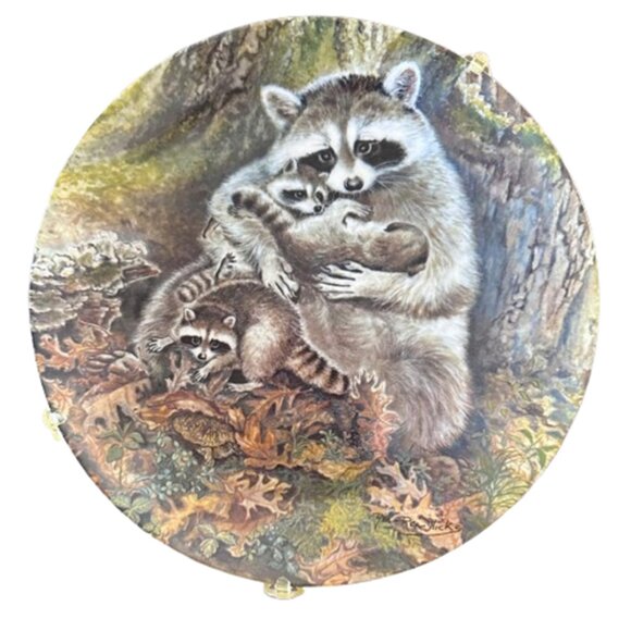 "Protective Embrace" 1982 By Wildlife Yin-Rei Hicks Racoon Collectible Plate - Picture 1 of 4